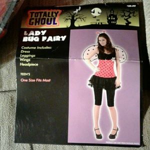Costume,  lady bug fairy